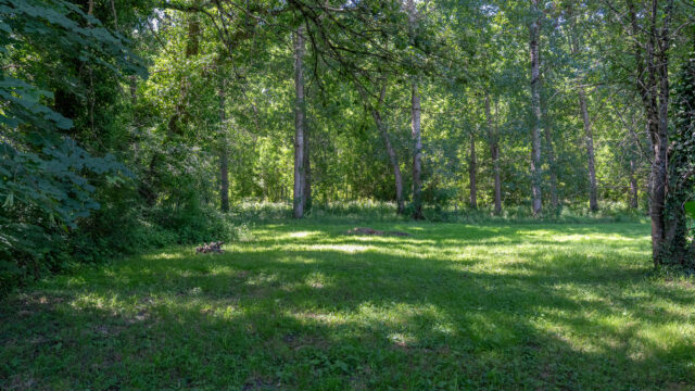 DSC00974