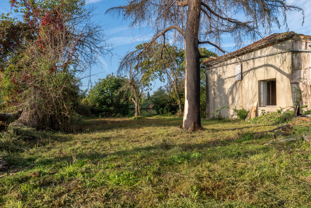 FC_00563-HDR