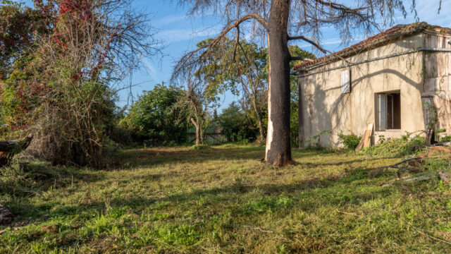 FC_00563-HDR