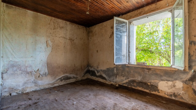 FC_00653-HDR