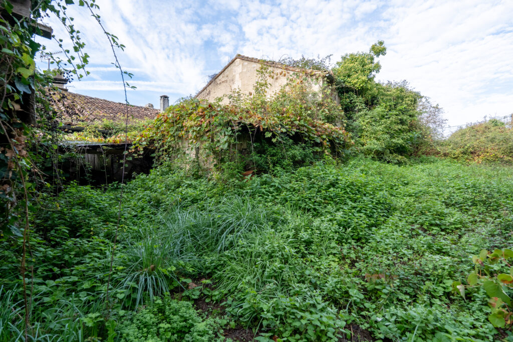 FC_00779-HDR